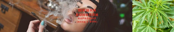 синтетический гашиш Алексин